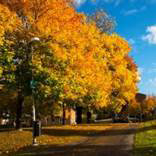 org:/landingpages/winnaars DK NO SE/16e-prize-scandinavie.jpg